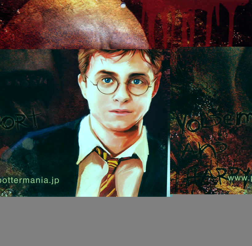 n[E|b^[J_[2008/Harry Potter Calendar 2008